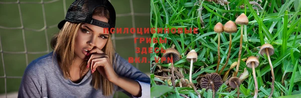 марки lsd Белокуриха