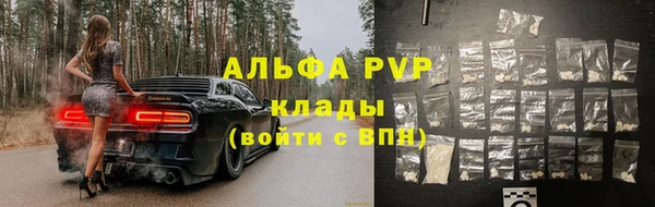 стаф Богородицк